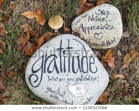 gratitude