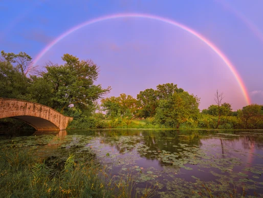 Where Is Your Pot Of Gold?